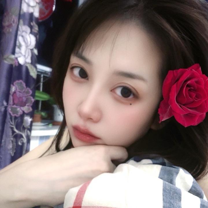 兔紫🐰