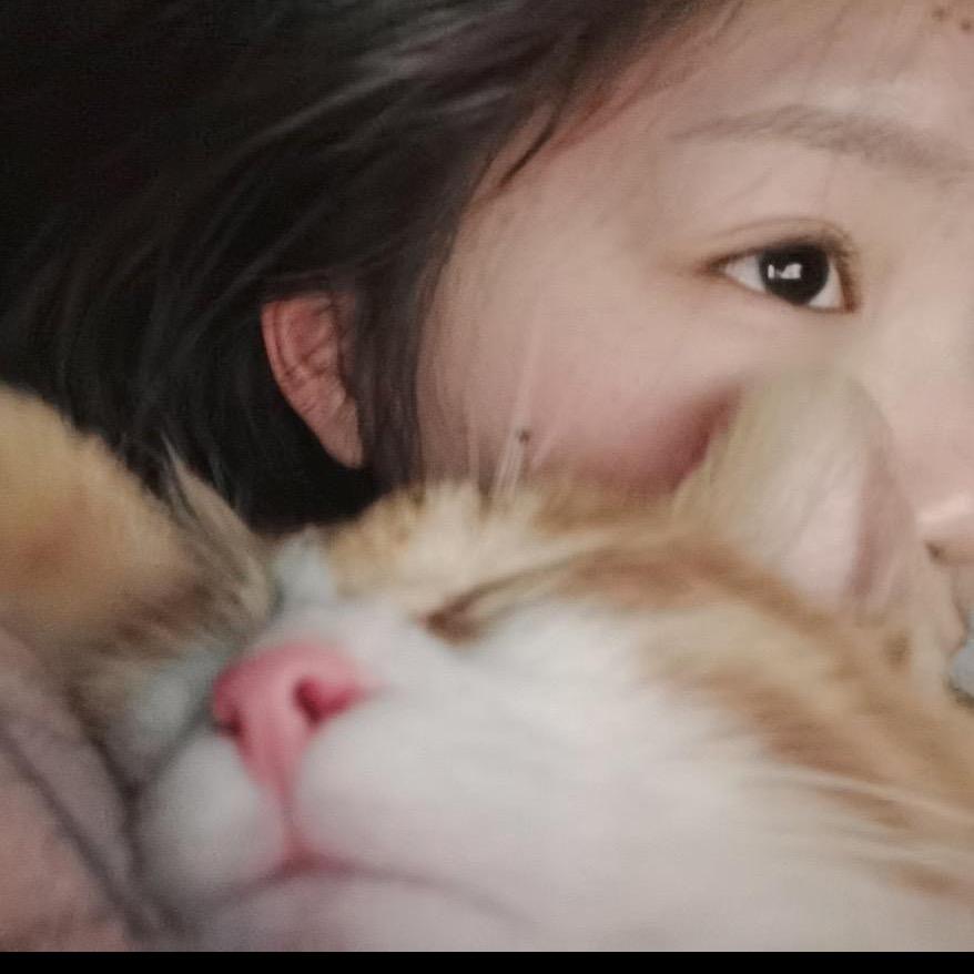 珊珊来迟了