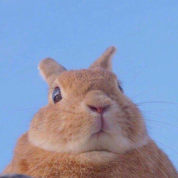 哈嚏