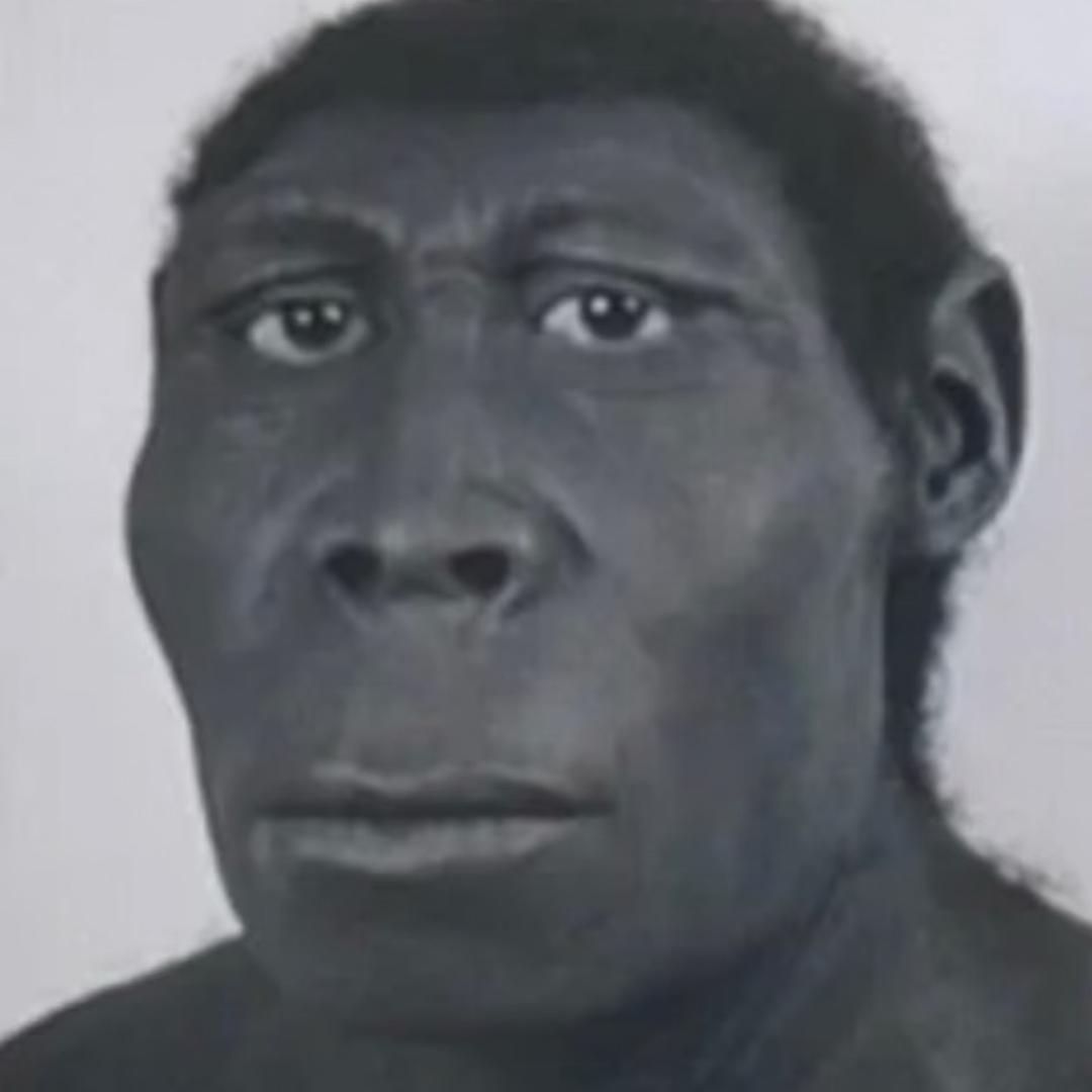 不是哥们别卡我啊