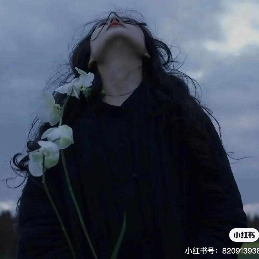 凌晨一点的猫。