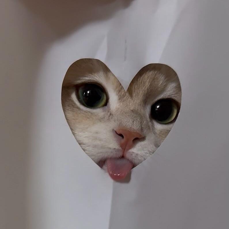 喵喵超声队（减肥版）