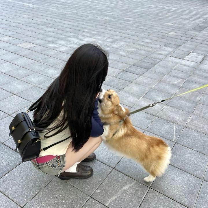 骂我立不起.