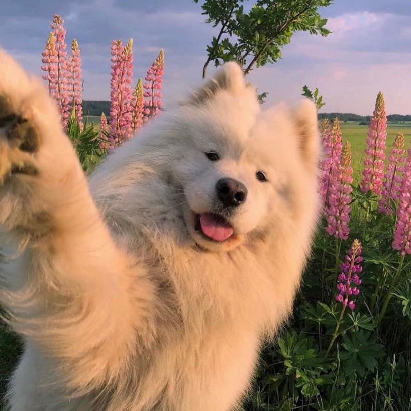 敦煌涛哥（星动团）