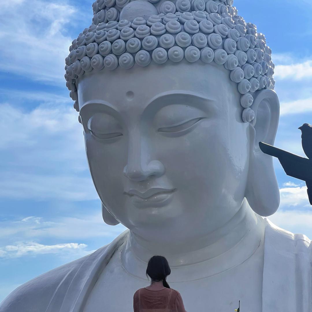 一顿不吃饿的慌