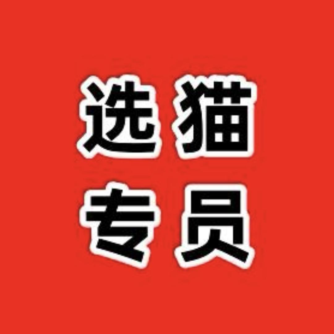 爱心猫咪1
