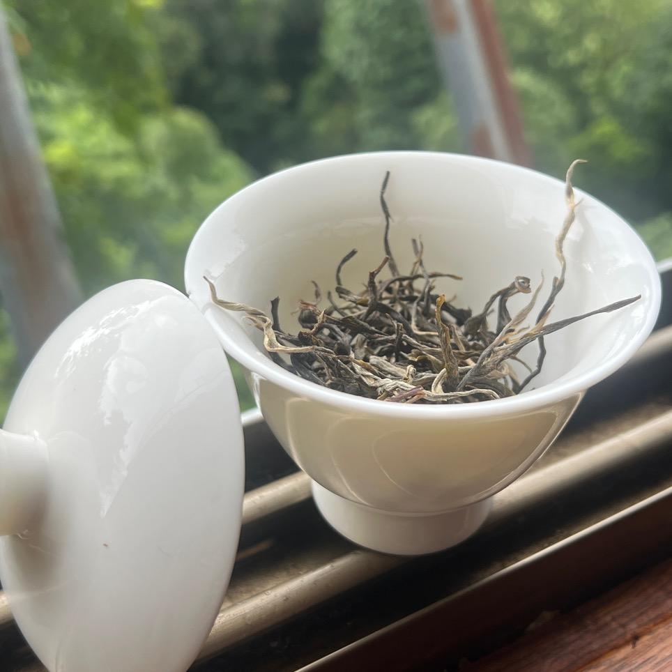 曼兴竜老寨古茶岩坎