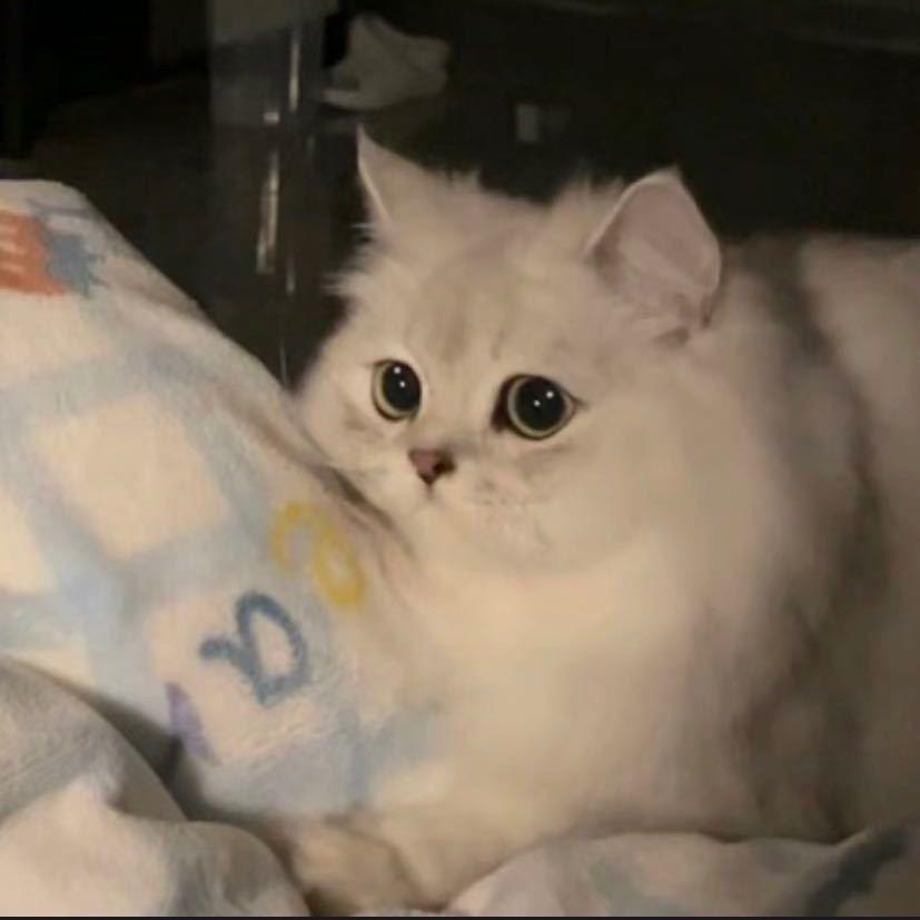 小小🧸