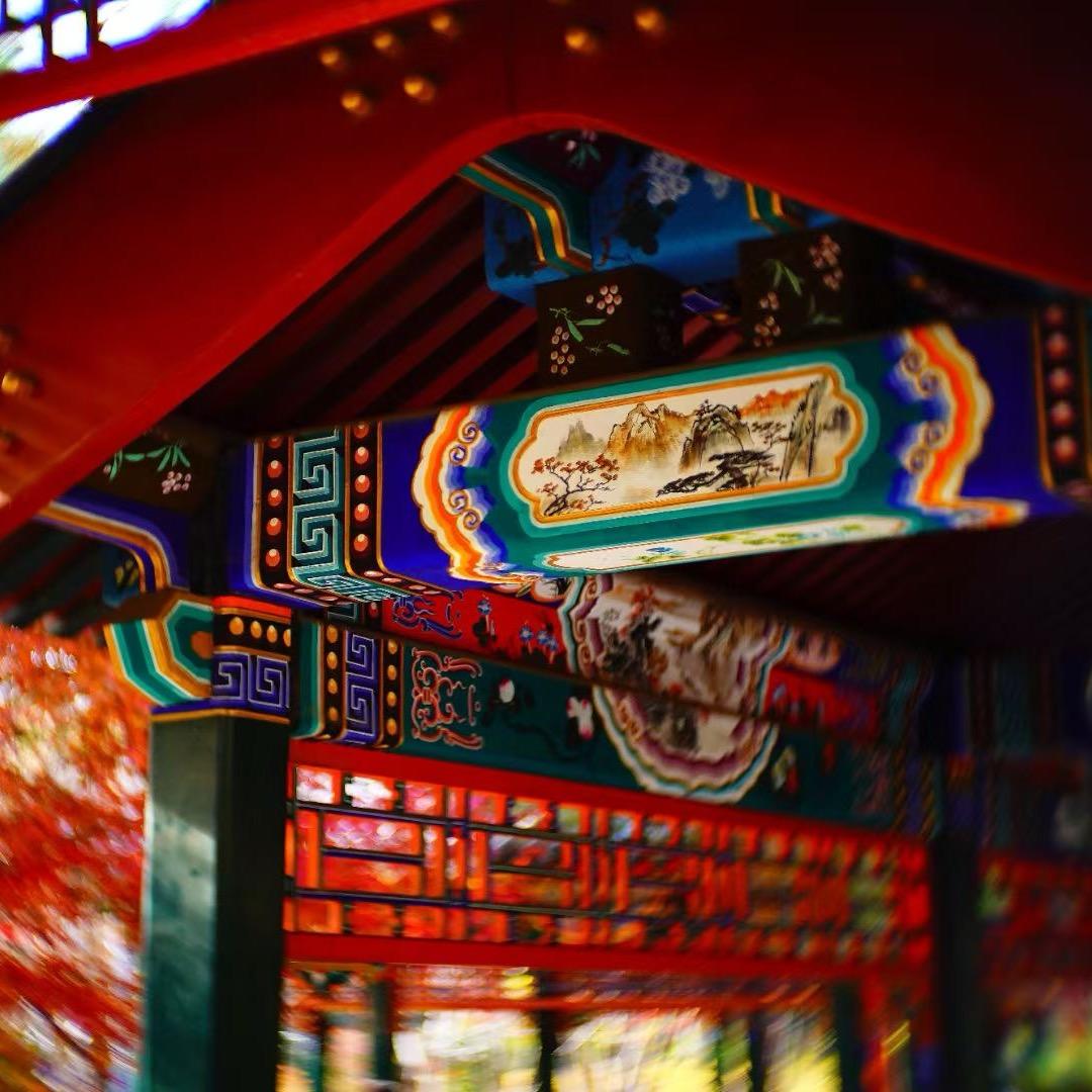 慢半拍