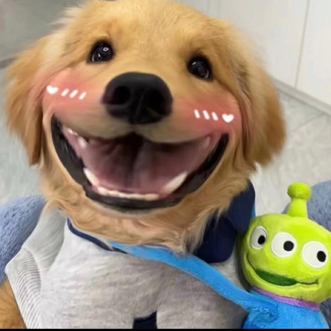 白羊.
