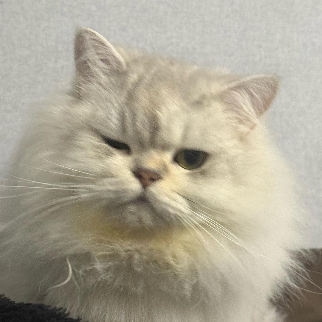 小小小小小小小小小小小小小小小小小小🐑