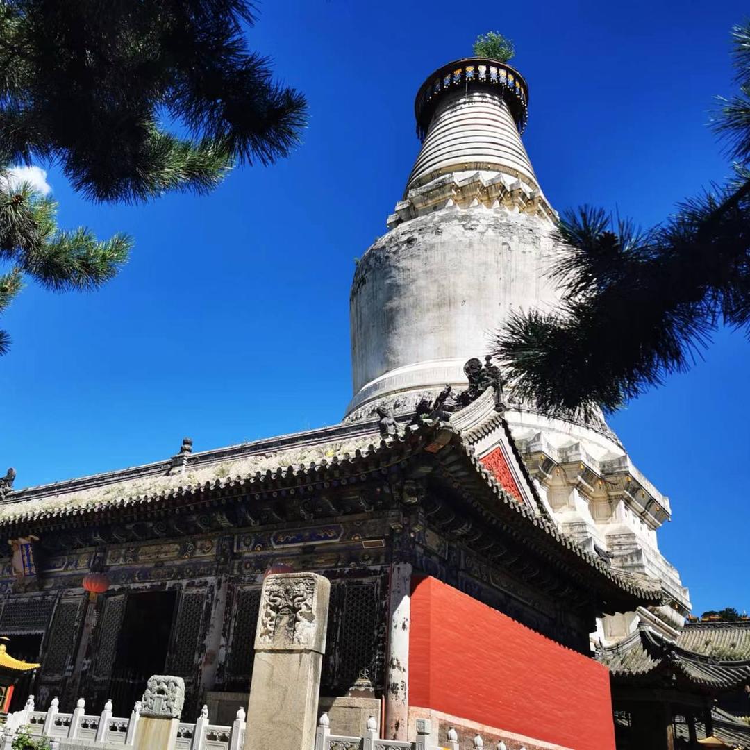 五台山心音