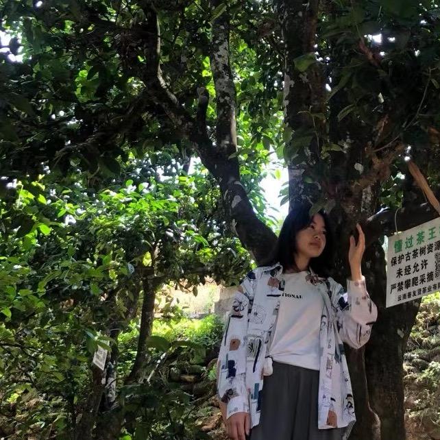 思茅区玖玖茶叶