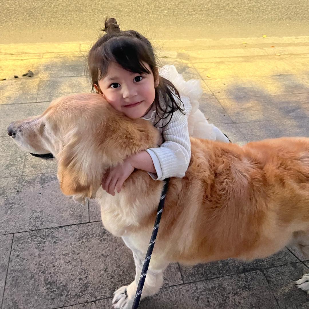 潮阳甜甜熊宠物