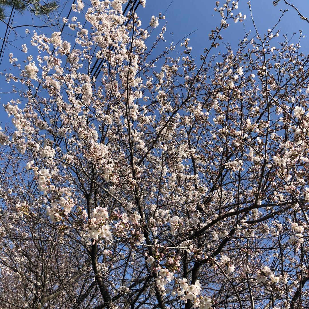 那一天
