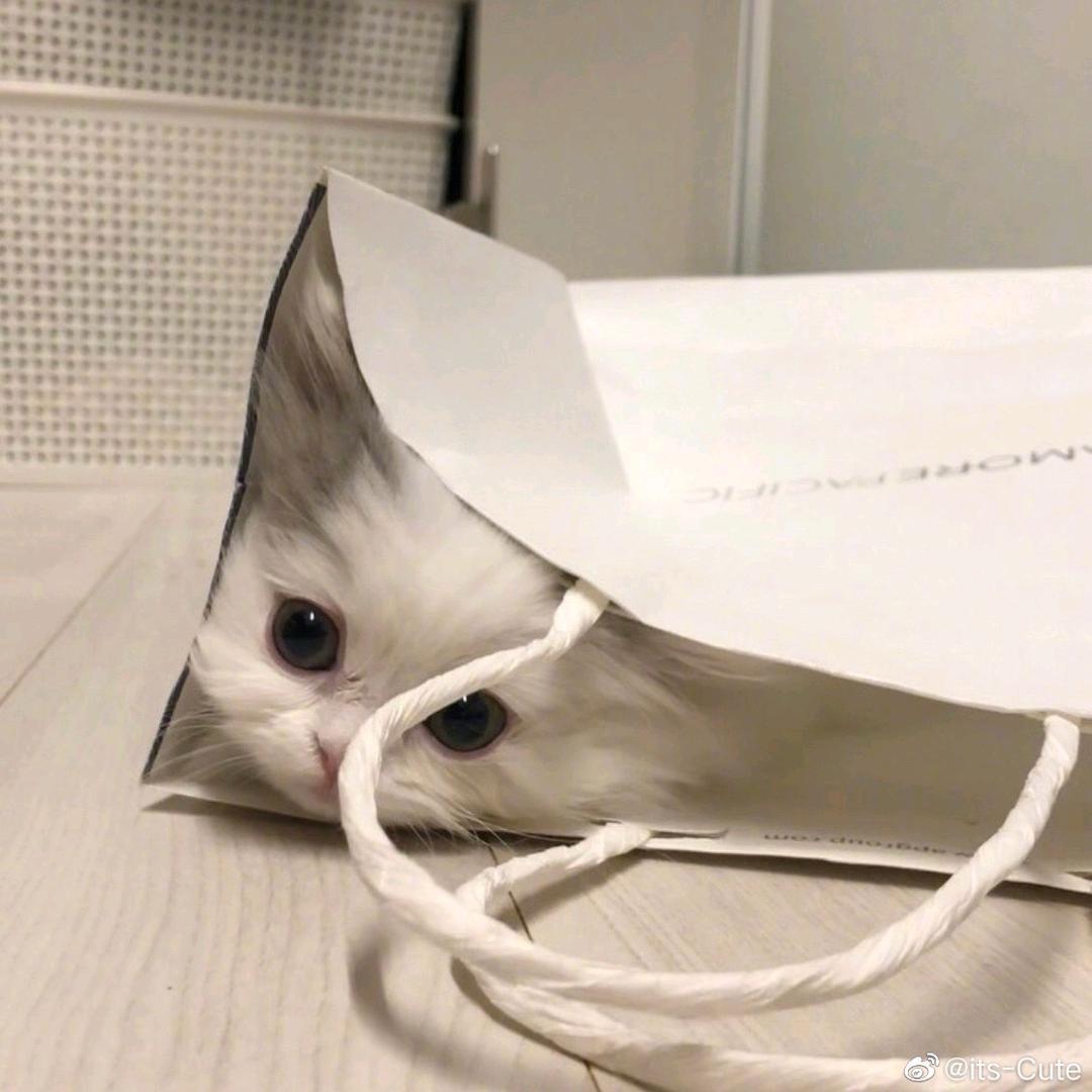 _lanyangyang