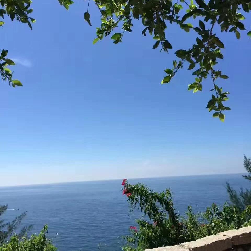 小战宝