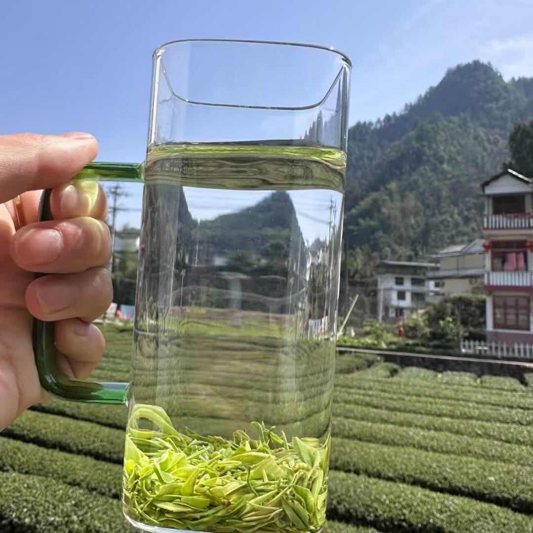 施农优品茶业
