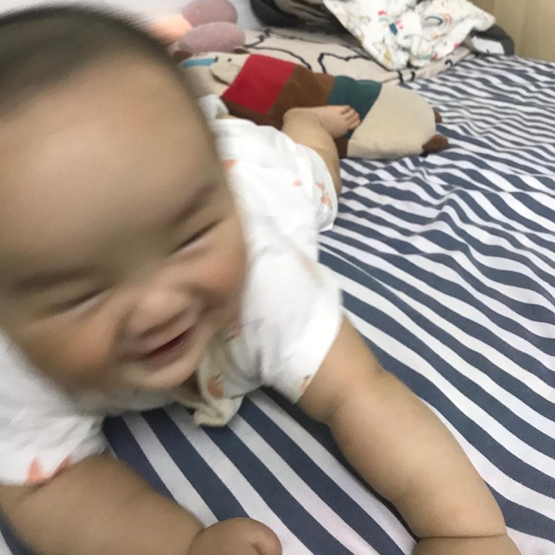 小核桃 （小乖）