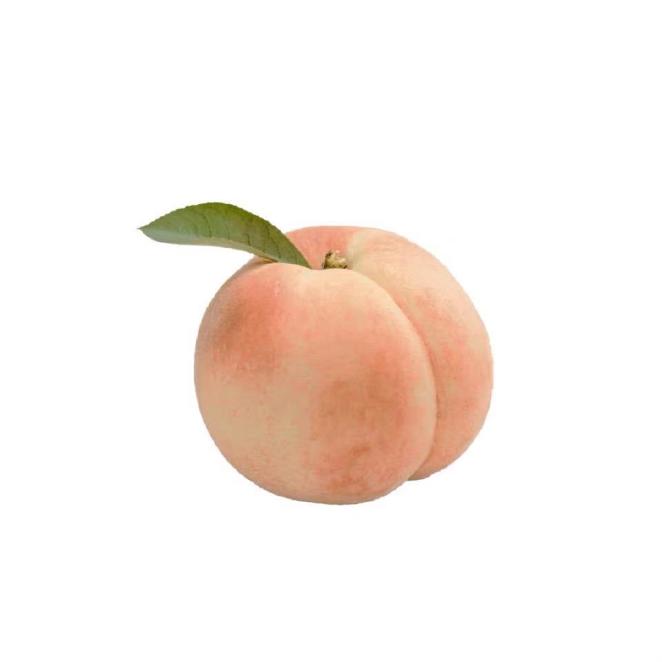 桃子冰糖颗粒（阴暗🍎控