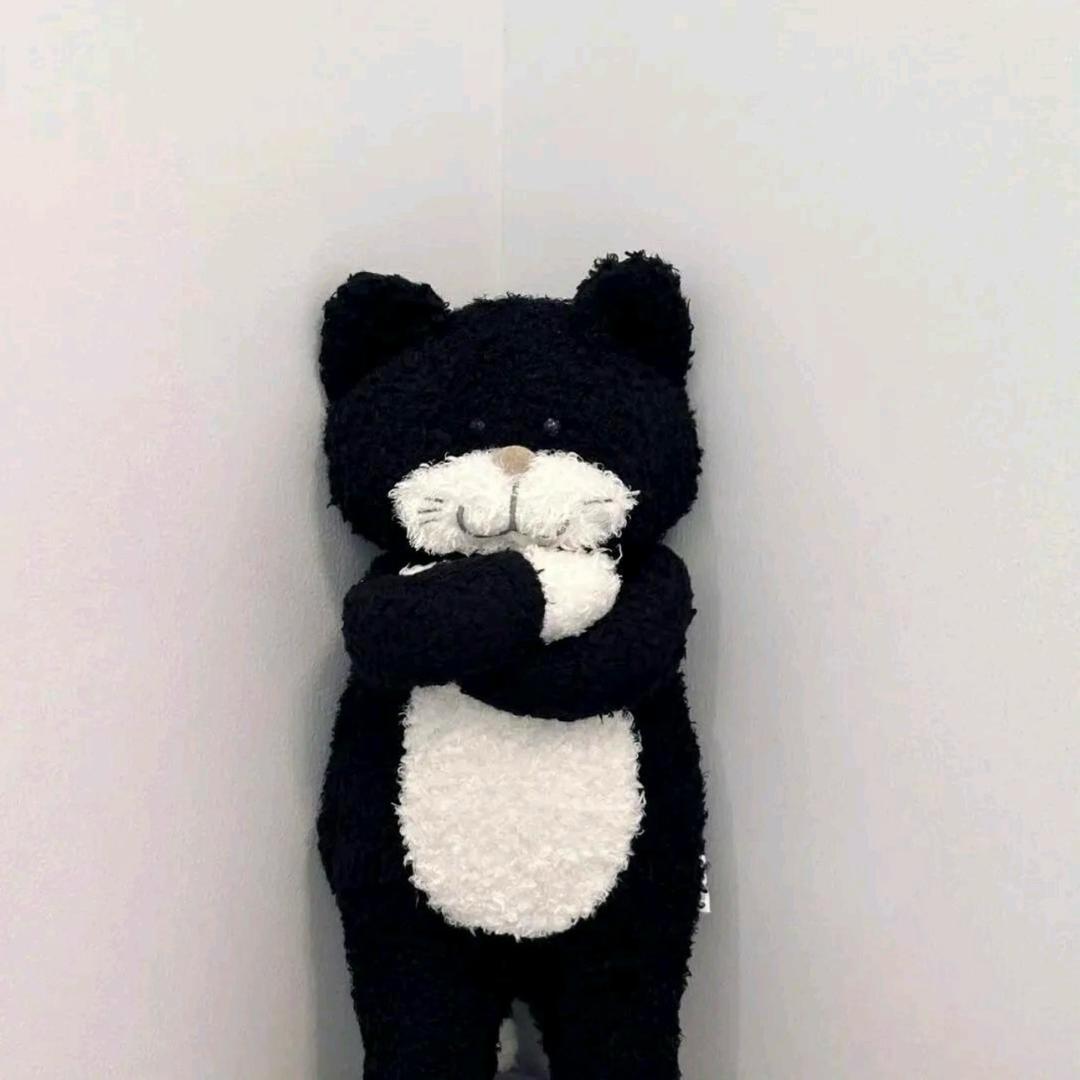 ㅤㅤㅤㅤㅤㅤㅤㅤㅤ ㅤ ㅤ该我了