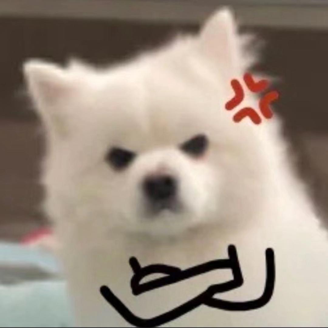 🐶修勾爱玩