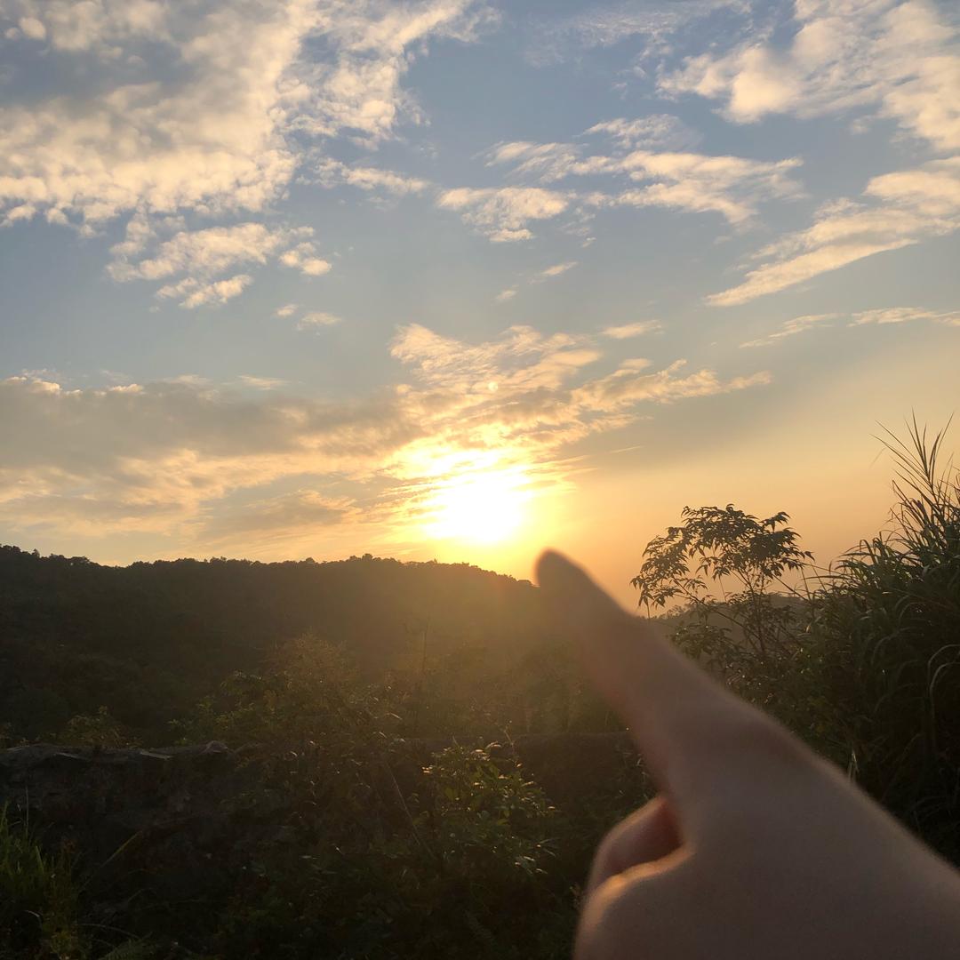 茹意优选