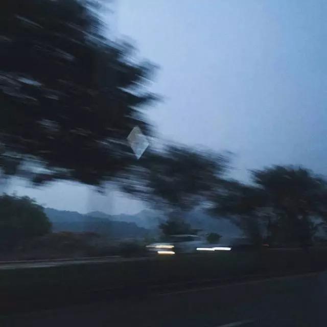 李Zz🕊️