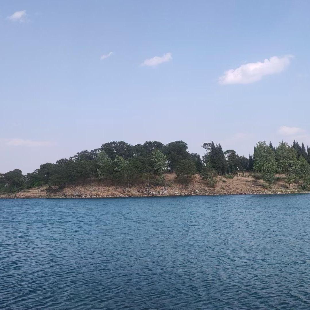 宣威兰客厅窗帘王水仙1582508756