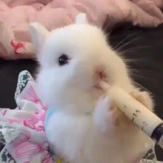 我是烤烤