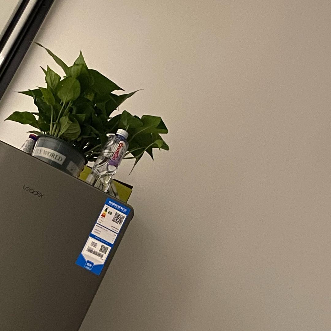 龙蟒大地复合肥——小阳