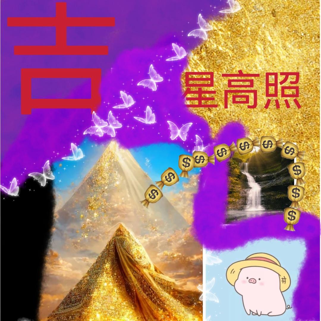 老仲的vlog