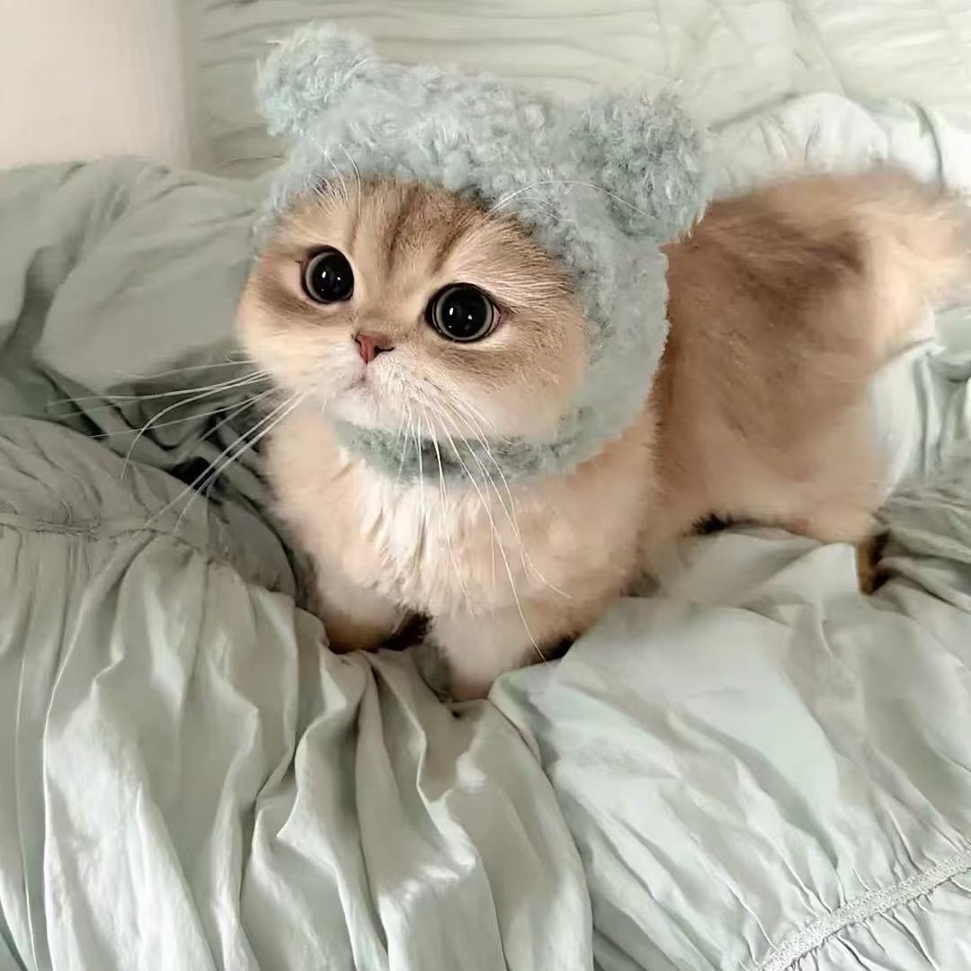 気は