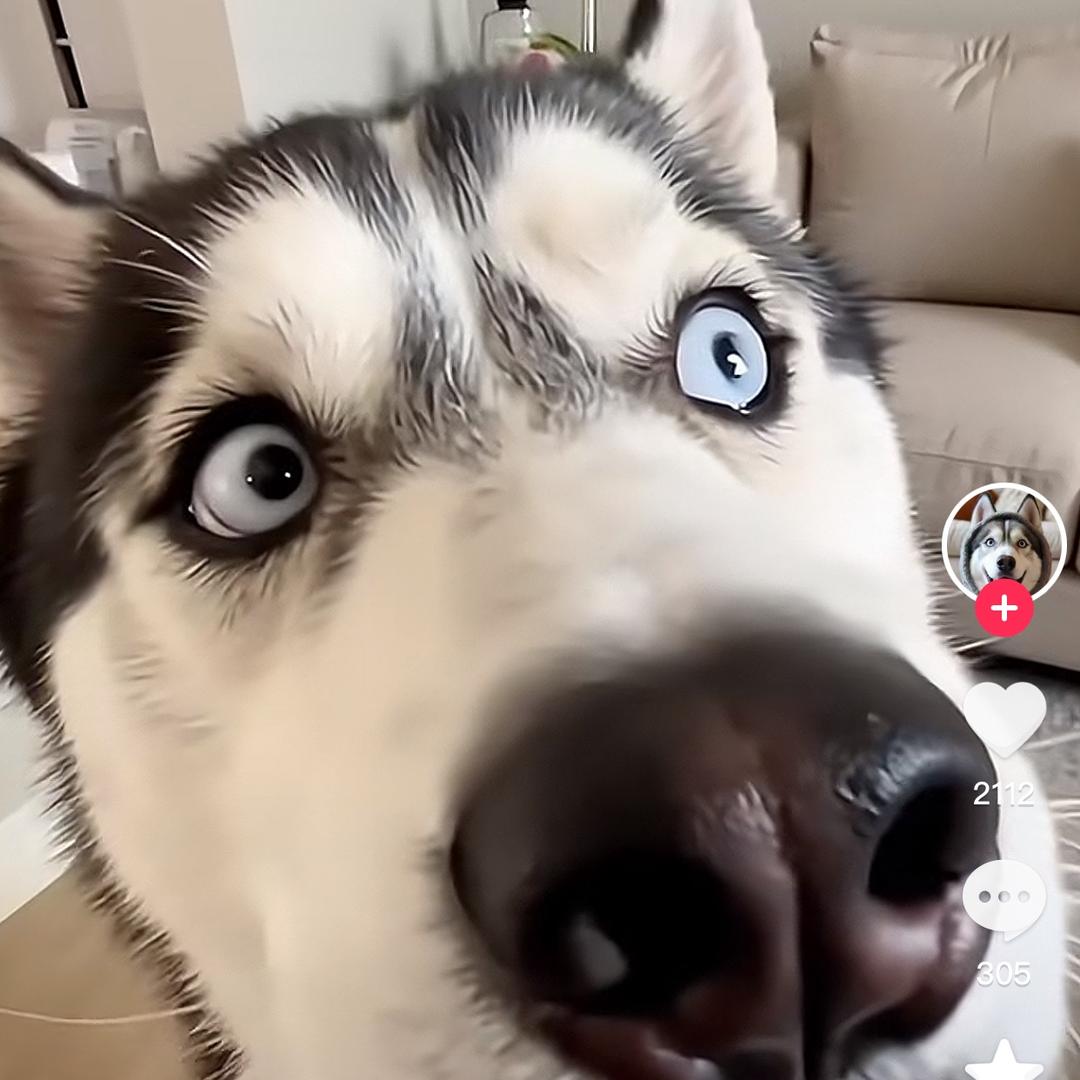 এ᭄ℳ๓ 一介俗人°ꦿ⁵²º᭄