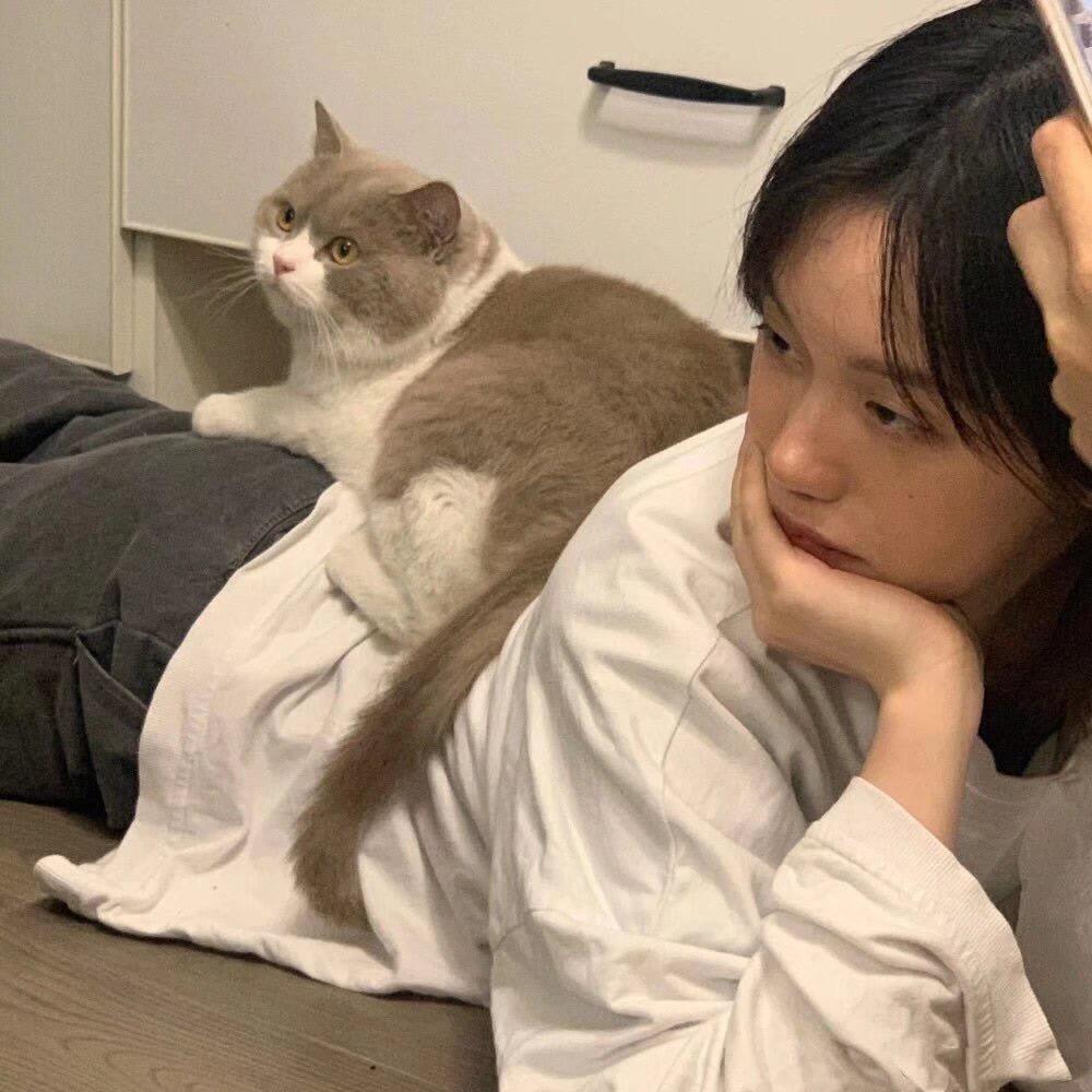 潦草小狗