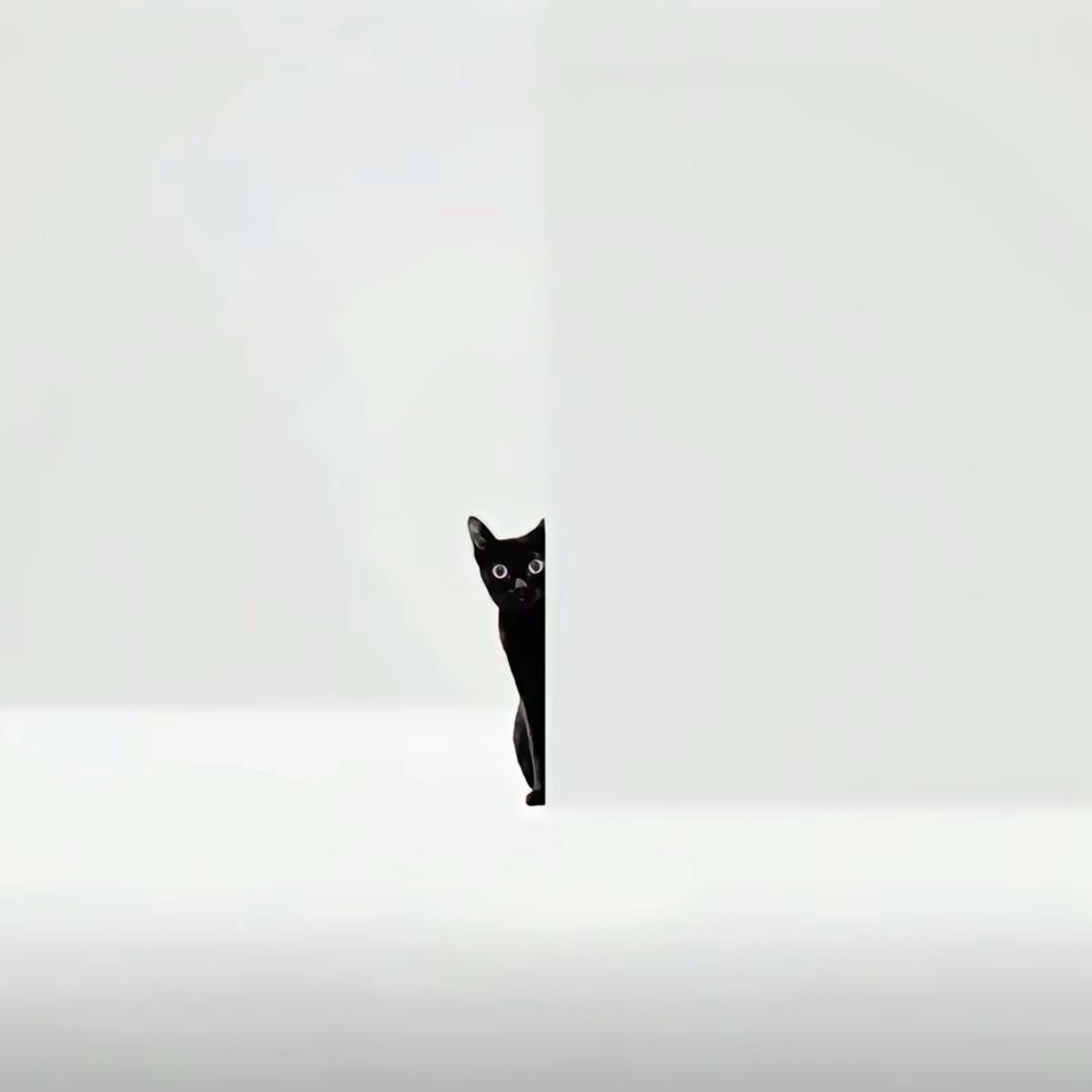 陳叁福.