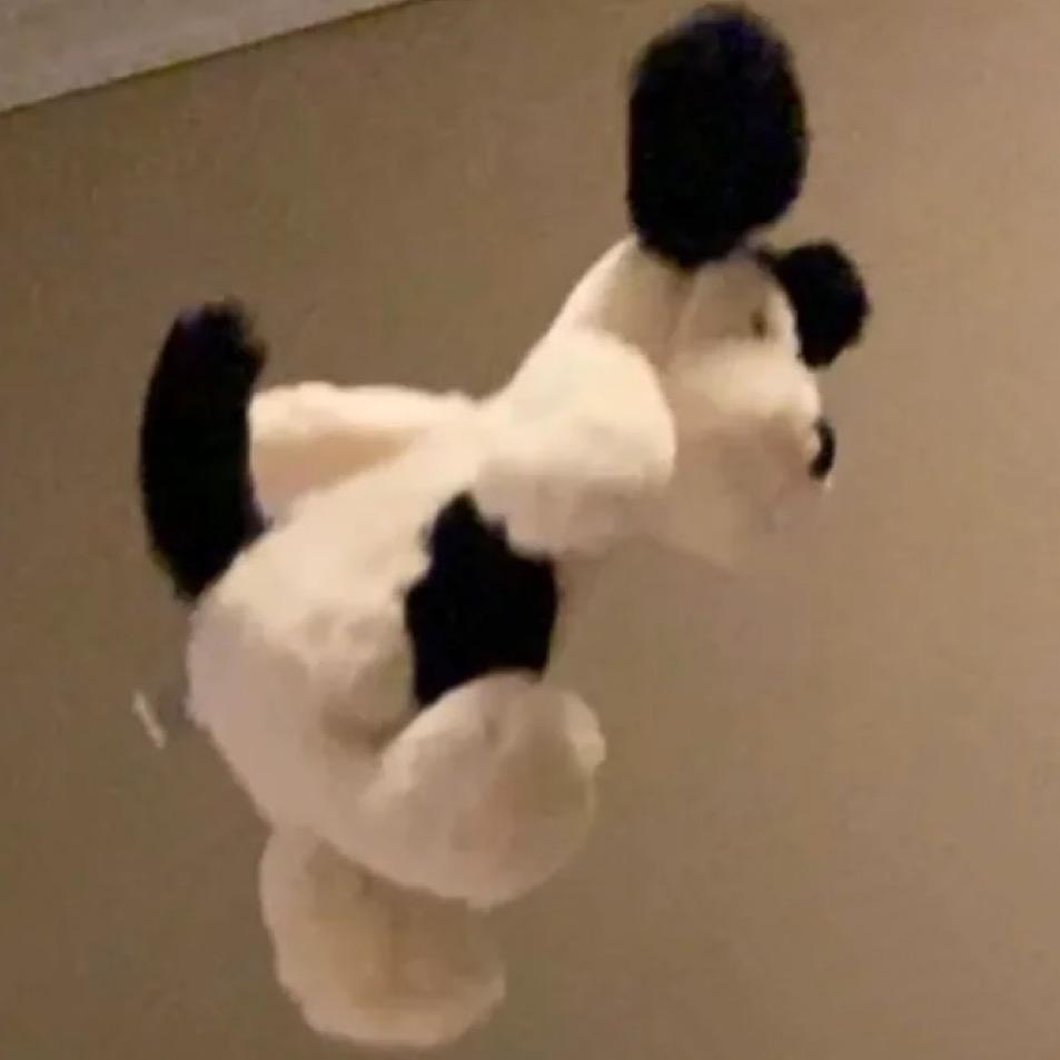 自渡.