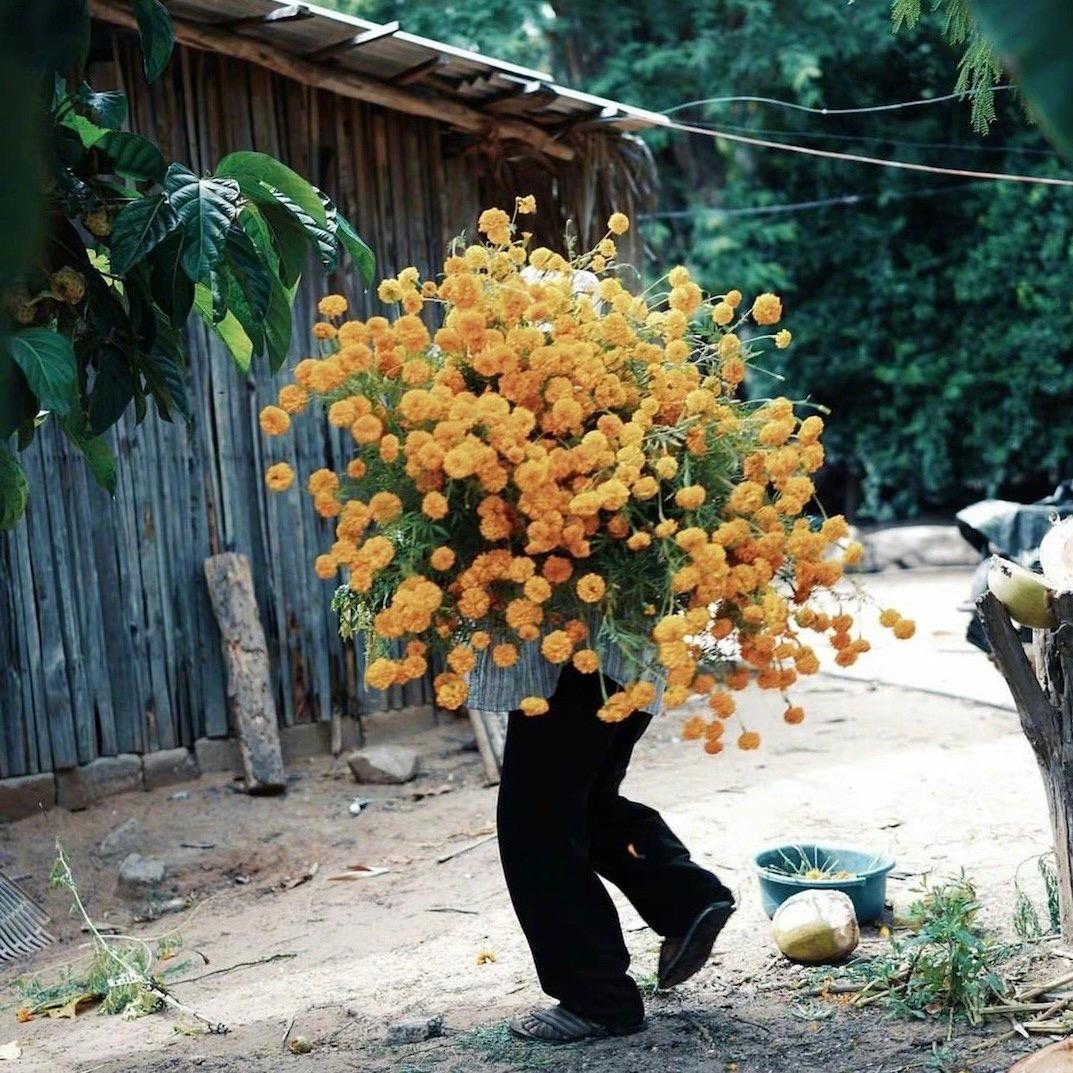 ⛄️彼得潘是对的