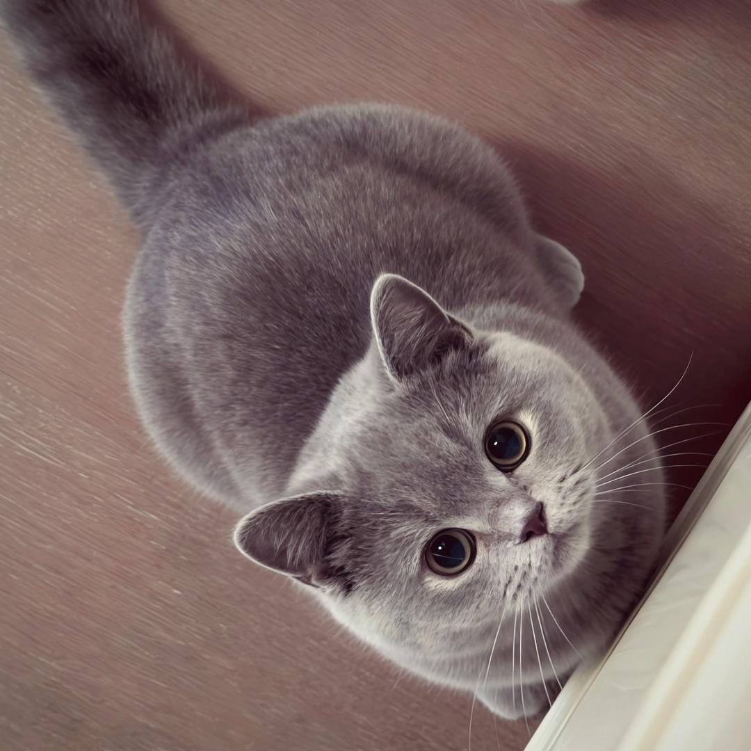 谁敢闻我肚脐眼