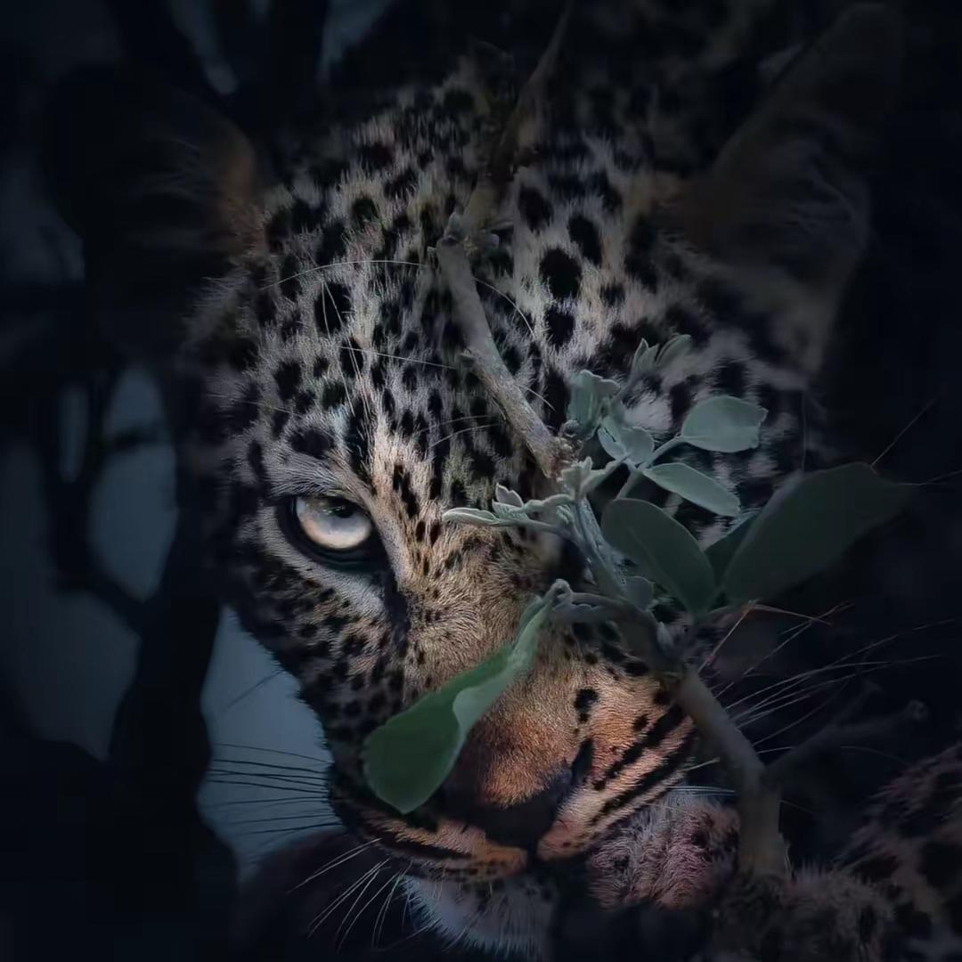 勇子自媒体-阿涛