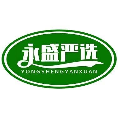 永盛严选