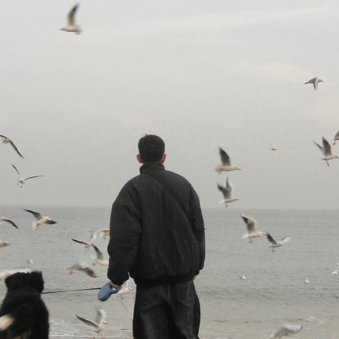 一只天马行空的猪