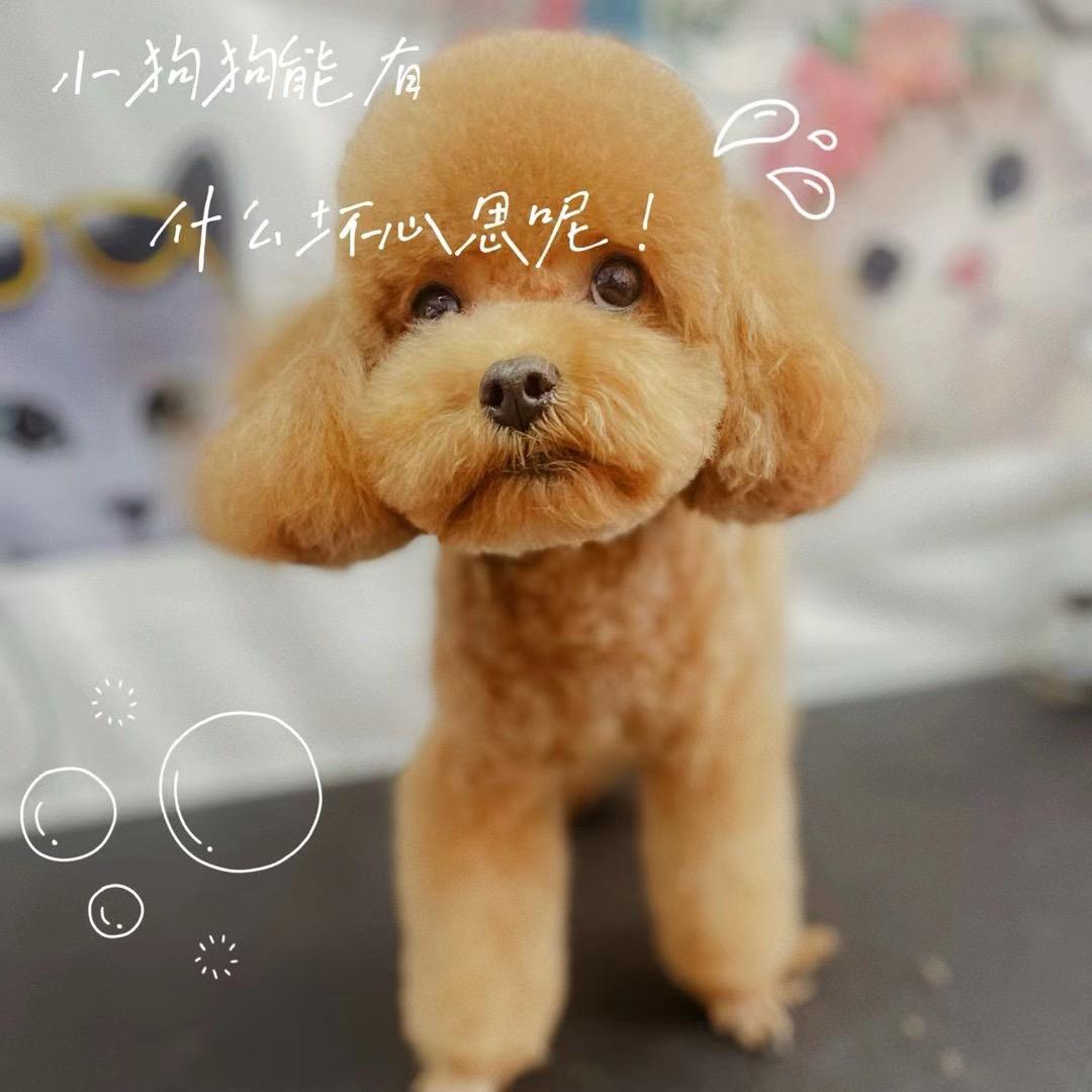 我叫金百万