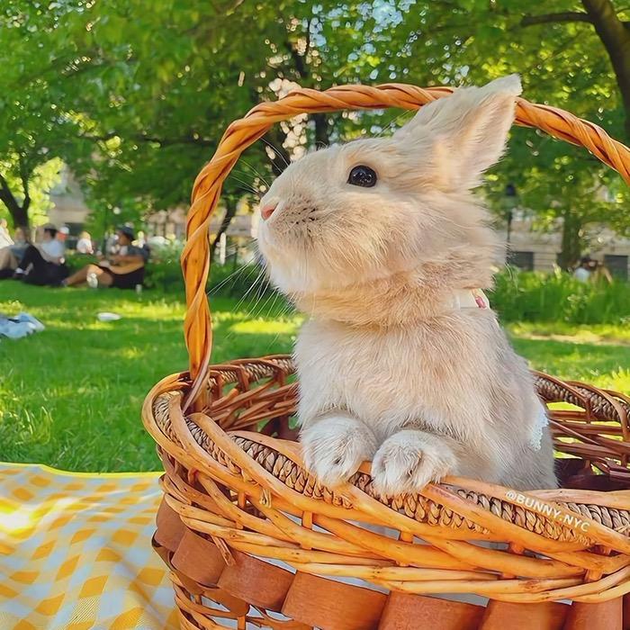 昕达🐰