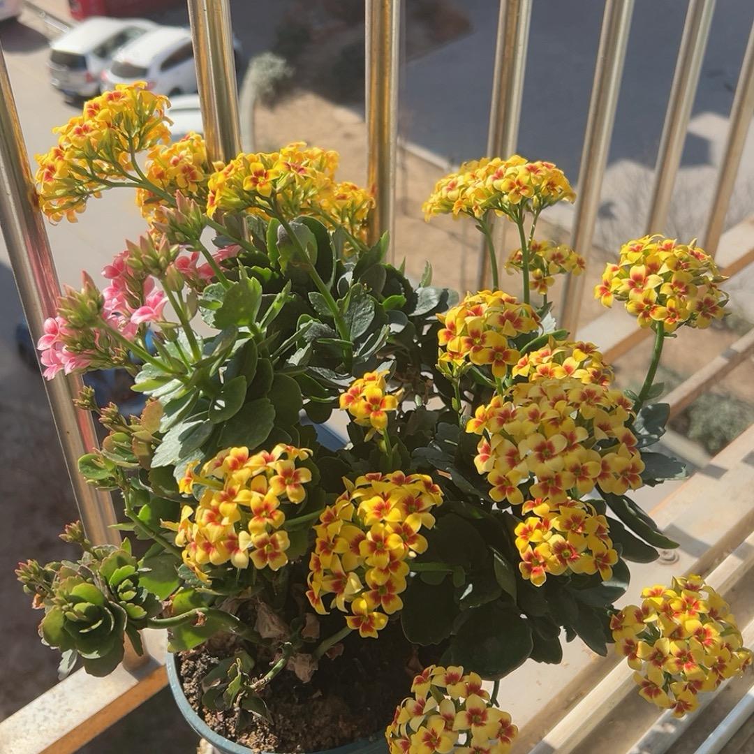三十而立