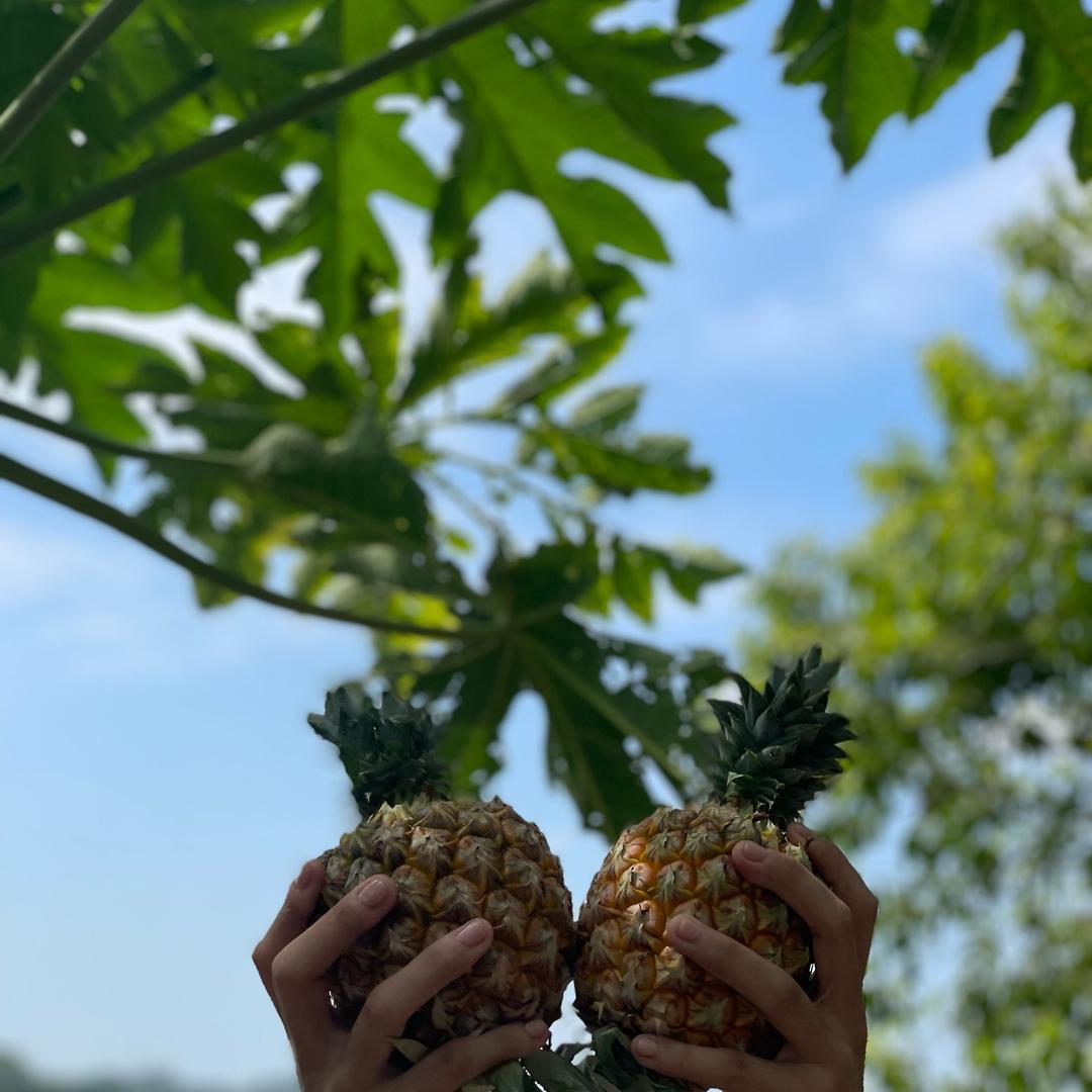 海岛果果生鲜优选