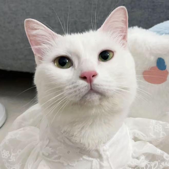 闹了个包的头像