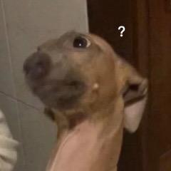 秦谁