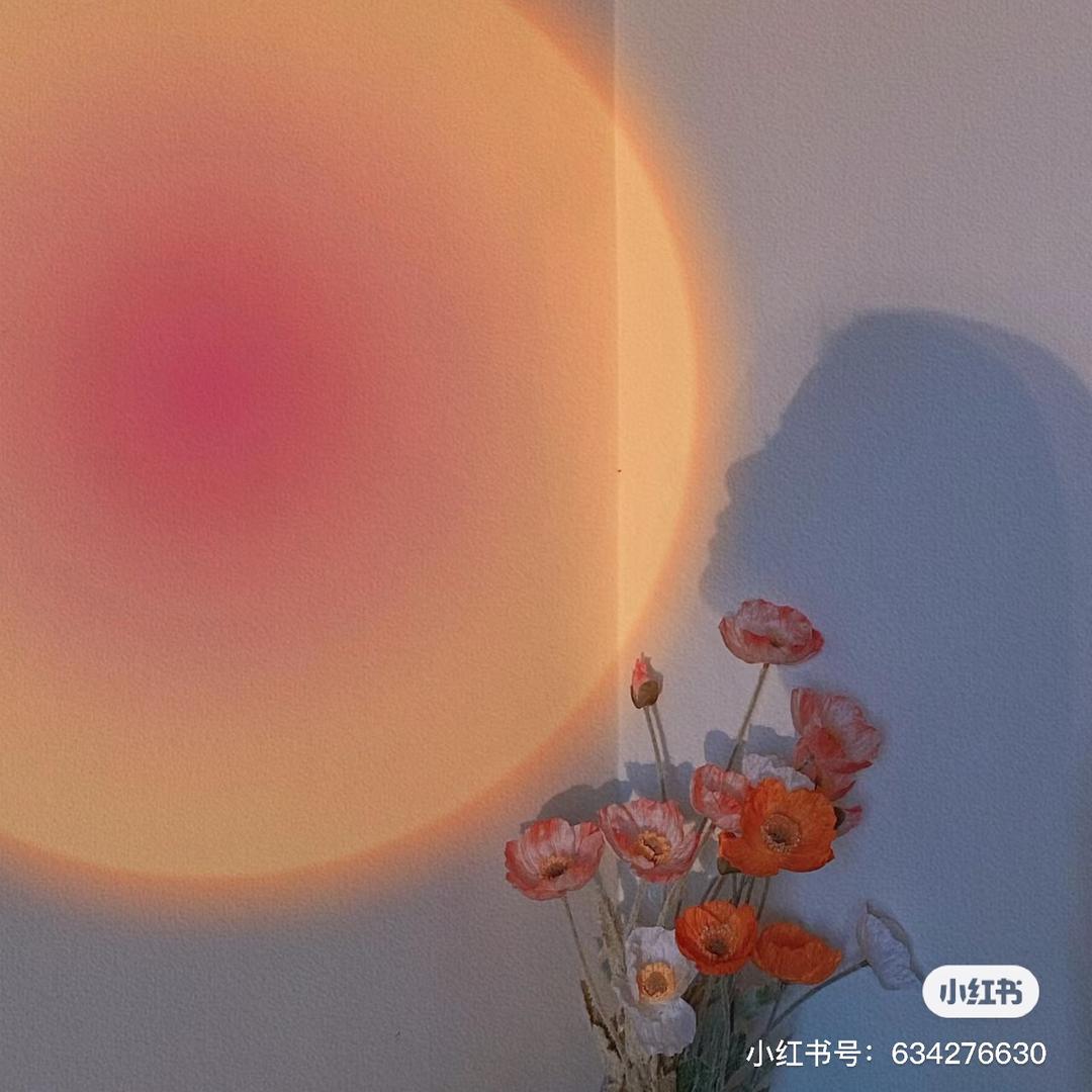 新炎呀 🧚‍♀️