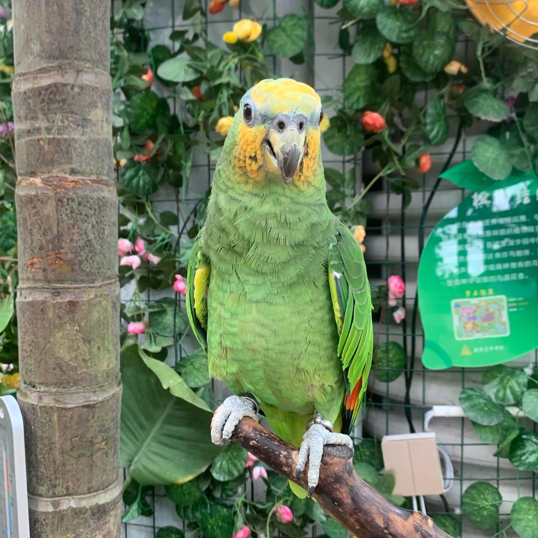 用户一生平安328315655456